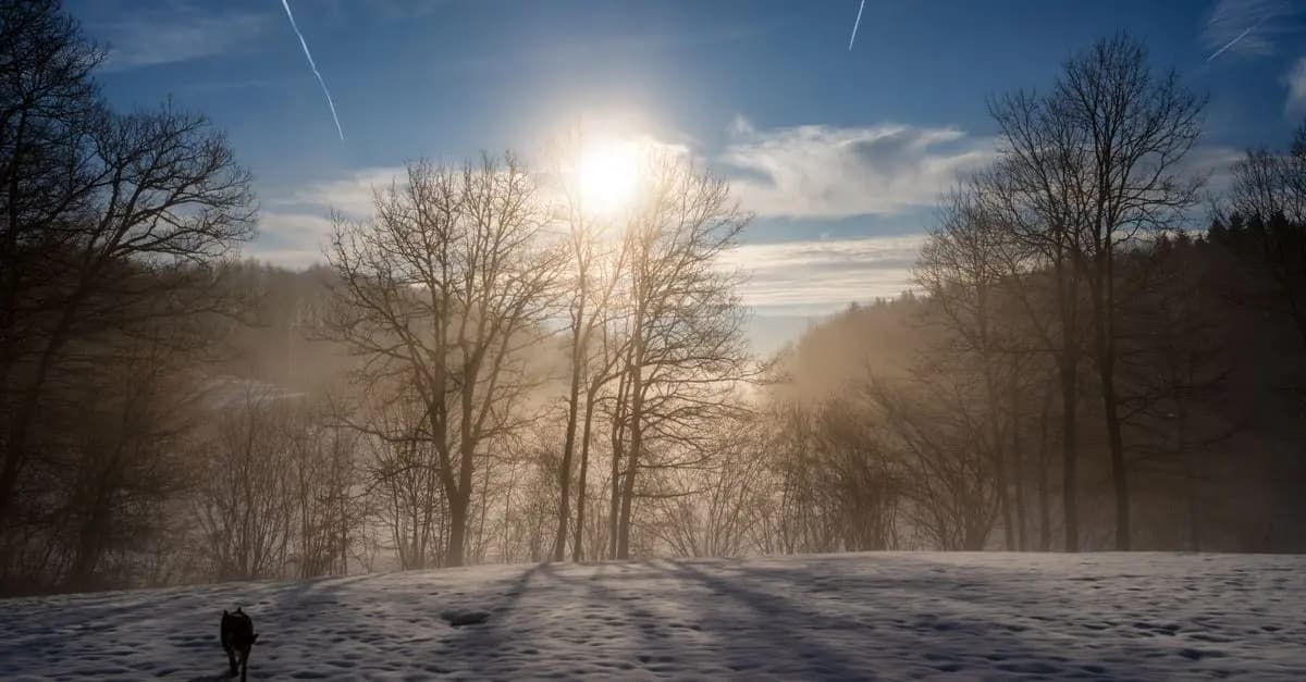 Équipement essentiel pour le running en hiver