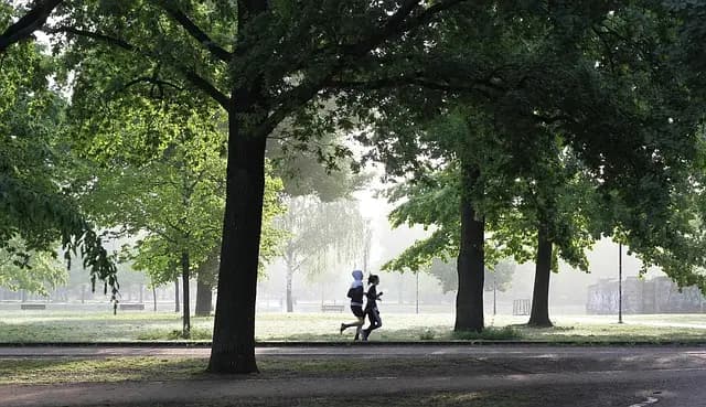 Les 10 activités sportives à essayer pour booster votre forme