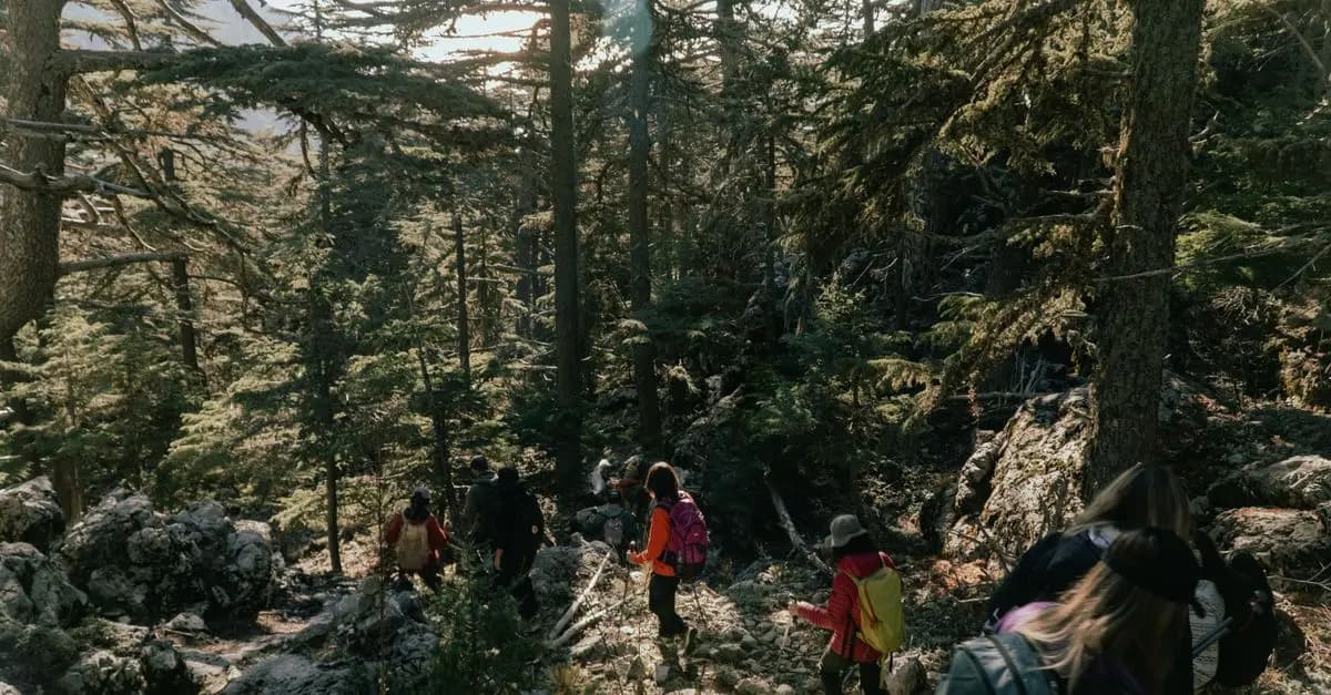 Les 10 meilleures activités sportives à essayer en plein air