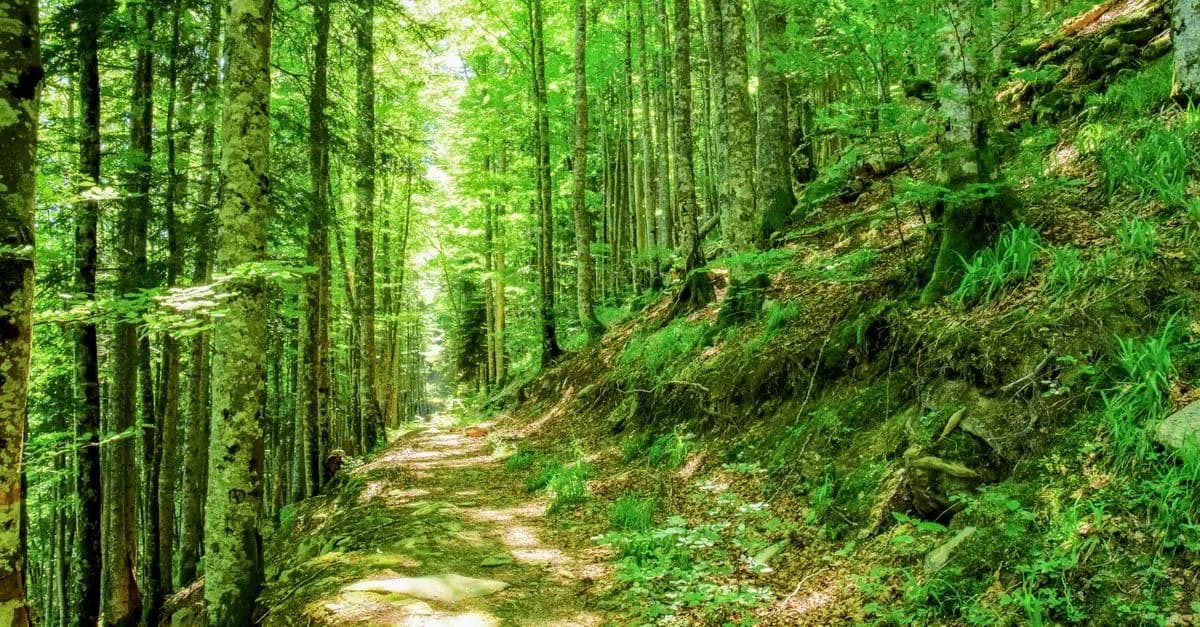 10 Best Outdoor Sports Activities to Boost Your Fitness