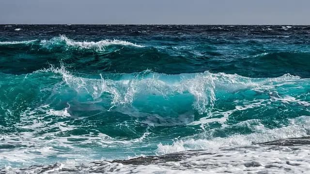 Discover the Most Exciting Water Sports Activities to Try