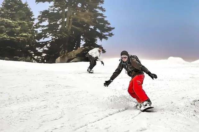 Les Meilleurs Sports d'Été à Essayer pour Rester Actif