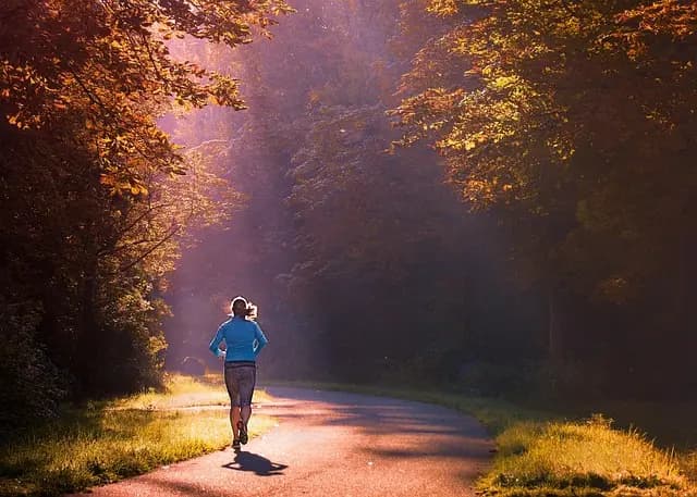 Les Meilleures Activités Sportives à Essayer Pour Rester Actif