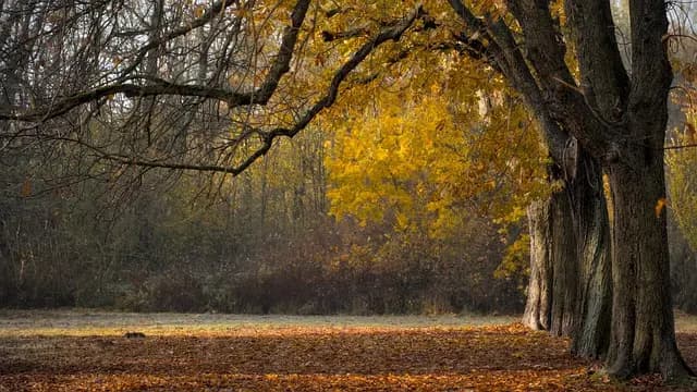 Les 10 Meilleures Activités Sportives à Essayer Cette Saison