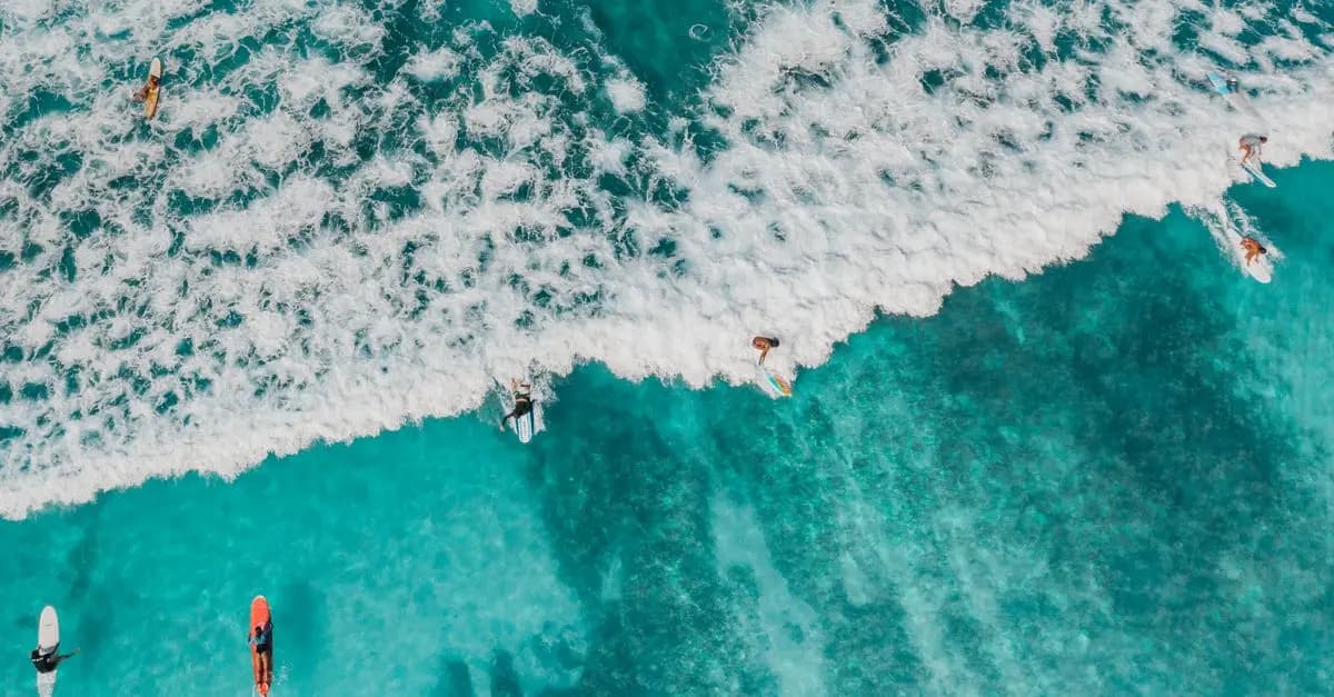 Les 10 Meilleures Activités Sportives Aquatiques à Essayer