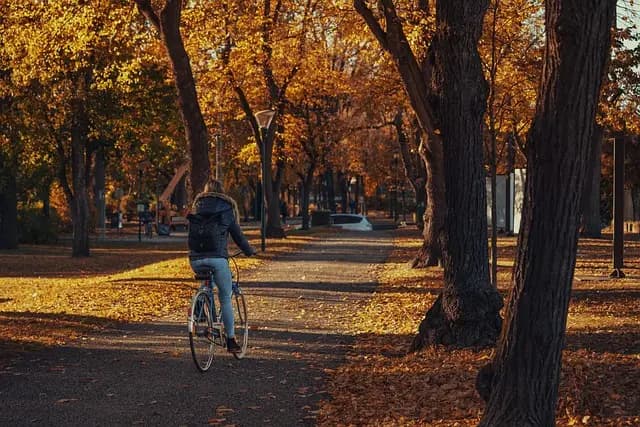 10 Must-Try Sports Activities for Fun and Fitness