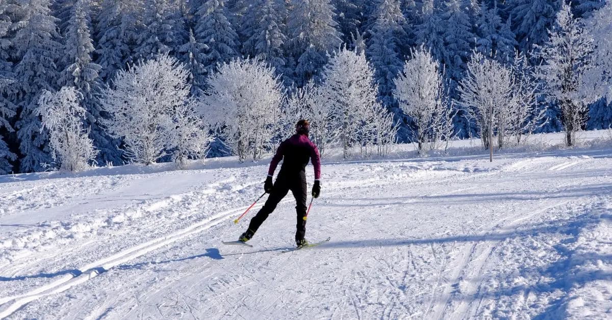Why Try Cross-Country Skiing This Winter