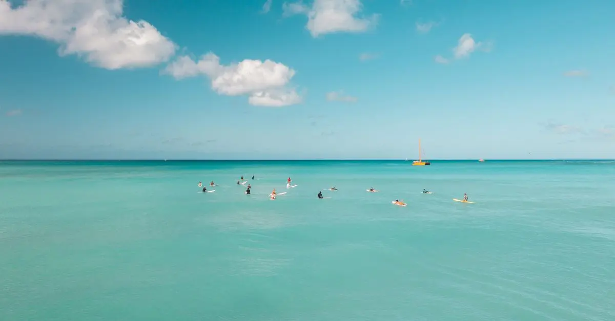 Top 10 des Activités Sportives Aquatiques à Essayer