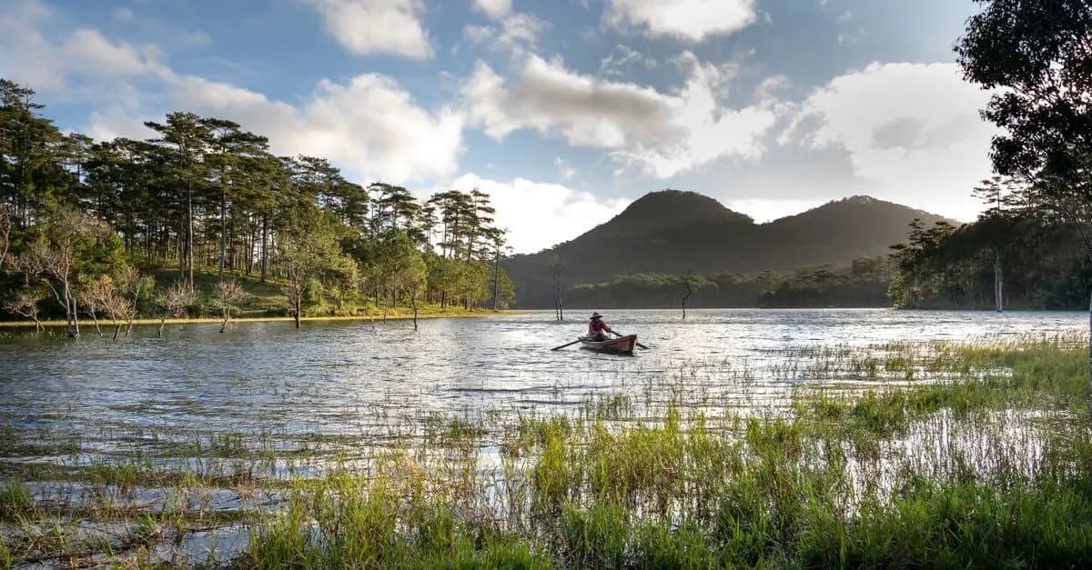 Mastering the Basics of Canoeing