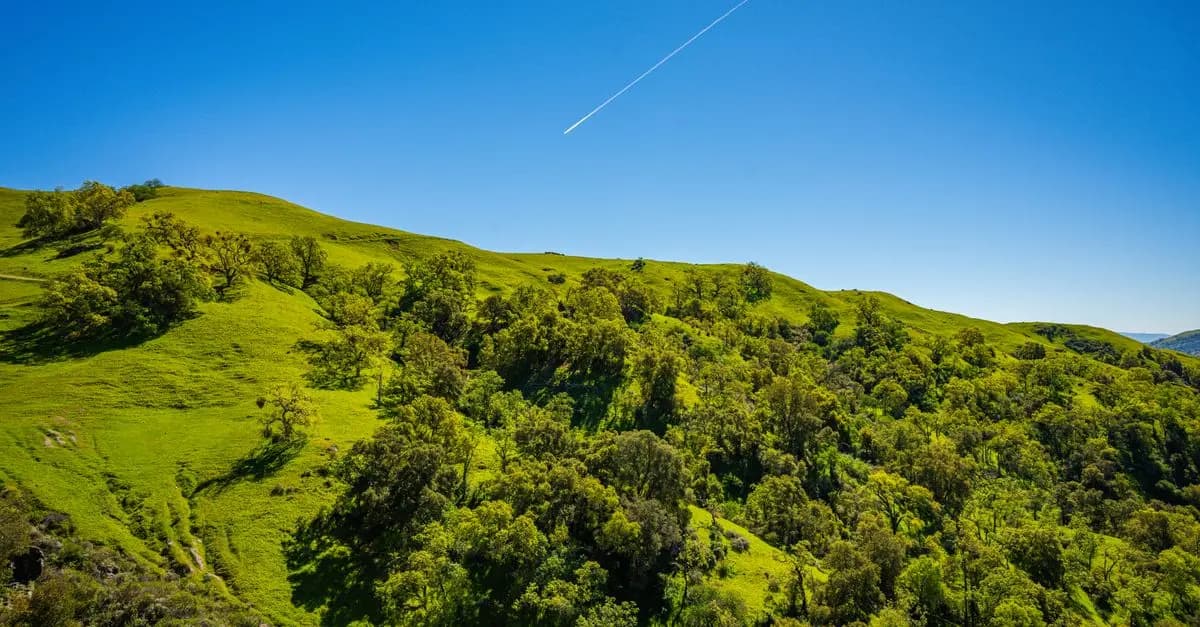 The Best Outdoor Sport Activities for Fitness Enthusiasts