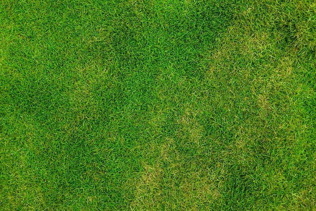 Top 10 Unique Sports Activities to Experience