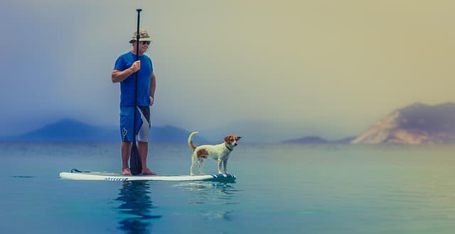 Top 10 Unique Sports Activities to Experience This Summer