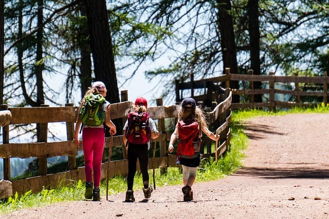 Top 10 des Meilleures Activités Sportives à Découvrir