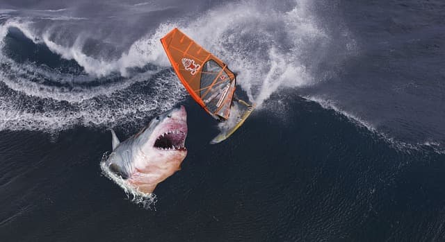 Top 10 Exciting Water Sports Activities to Try This Summer